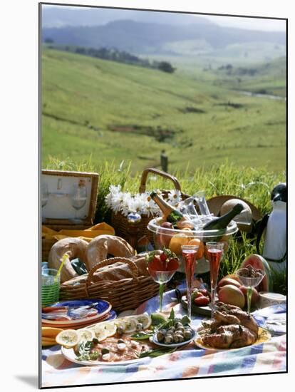 Picnic with Roast Quails and Salmon-Valerie Martin-Mounted Photographic Print