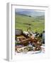 Picnic with Roast Quails and Salmon-Valerie Martin-Framed Photographic Print