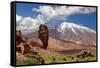 Pico Del Teide, Tenerife, Spain's Highest Mountain-balaikin2009-Framed Stretched Canvas