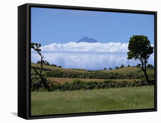 Pico Projects Above Clouds, Sao Jorge, Azores, Portugal, Europe-Ken Gillham-Framed Stretched Canvas