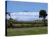 Pico Projects Above Clouds, Sao Jorge, Azores, Portugal, Europe-Ken Gillham-Stretched Canvas