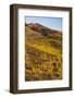 Pico Viejo Volcano Viewed from Monta?A Samara at Sunset, Teide Np, Tenerife, Canary Islands, Spain-Relanzón-Framed Photographic Print