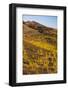 Pico Viejo Volcano Viewed from Monta?A Samara at Sunset, Teide Np, Tenerife, Canary Islands, Spain-Relanzón-Framed Photographic Print