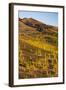 Pico Viejo Volcano Viewed from Monta?A Samara at Sunset, Teide Np, Tenerife, Canary Islands, Spain-Relanzón-Framed Photographic Print