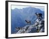 Picos De Europa, Goats Stand on a Ridgeline in the Picos De Europa, Spain-John Warburton-lee-Framed Photographic Print