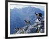 Picos De Europa, Goats Stand on a Ridgeline in the Picos De Europa, Spain-John Warburton-lee-Framed Photographic Print