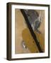 Picrite I-Tyson Estes-Framed Giclee Print