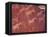 Pictograph, Engravings from Stone Age Culture, Twyfelfonstein Region, Namibia-Art Wolfe-Framed Stretched Canvas