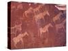 Pictograph, Engravings from Stone Age Culture, Twyfelfonstein Region, Namibia-Art Wolfe-Stretched Canvas