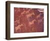 Pictograph, Engravings from Stone Age Culture, Twyfelfonstein Region, Namibia-Art Wolfe-Framed Photographic Print