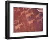 Pictograph, Engravings from Stone Age Culture, Twyfelfonstein Region, Namibia-Art Wolfe-Framed Photographic Print