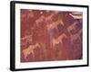 Pictograph, Engravings from Stone Age Culture, Twyfelfonstein Region, Namibia-Art Wolfe-Framed Photographic Print