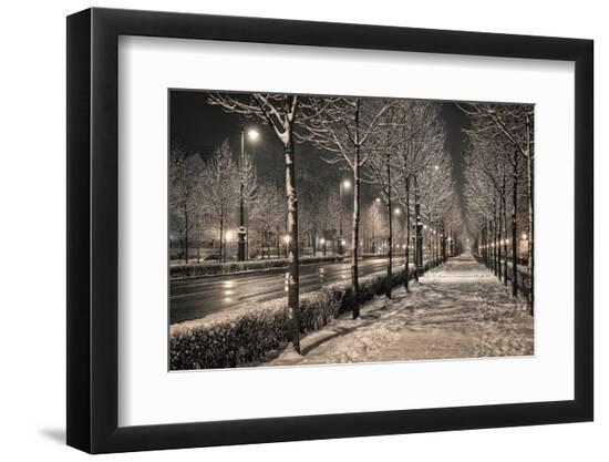 Premium Photographic Print, , large