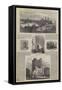 Pictorial History of Newcastle-null-Framed Stretched Canvas