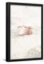 Essential Black