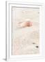 Gramercy White
