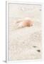 Gramercy White