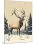 Wood Mount