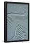 Essential Black