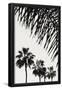 Essential Black