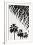 Gramercy White