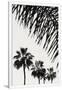 Gramercy White