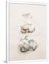 Gramercy White
