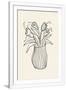 Gramercy White