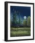 Picture 076-Debbi Wetzel-Framed Giclee Print