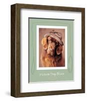 Picture Day Blues-Rachael Hale-Framed Art Print