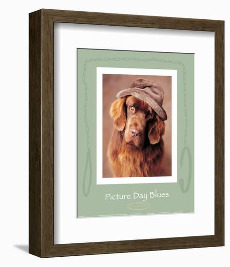 Picture Day Blues-Rachael Hale-Framed Art Print