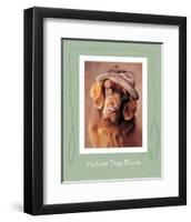 Picture Day Blues-Rachael Hale-Framed Art Print