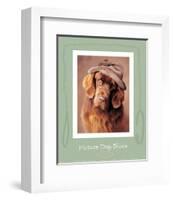 Picture Day Blues-Rachael Hale-Framed Art Print