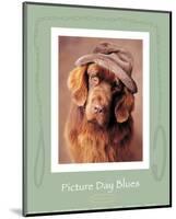 Picture Day Blues-Rachael Hale-Mounted Art Print