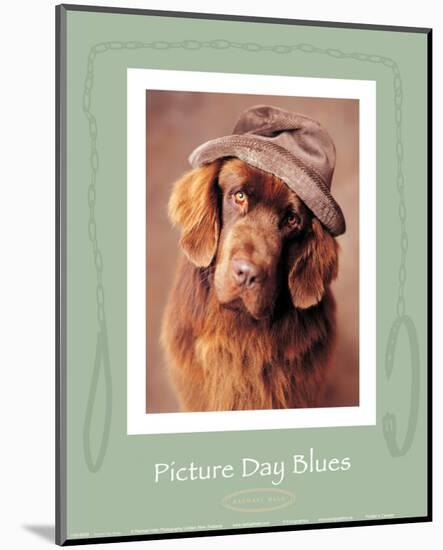 Picture Day Blues-Rachael Hale-Mounted Art Print