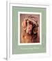 Picture Day Blues-Rachael Hale-Framed Premium Giclee Print