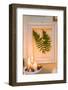 Picture frames, fern leaves, candles, cones,-mauritius images-Framed Photographic Print