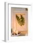 Picture frames, fern leaves, candles, cones,-mauritius images-Framed Photographic Print