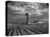 Picture from the Dust Bowl,With Deep Furrows Made by Farmers to Counteract Wind-Margaret Bourke-White-Stretched Canvas