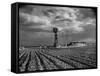 Picture from the Dust Bowl,With Deep Furrows Made by Farmers to Counteract Wind-Margaret Bourke-White-Framed Stretched Canvas