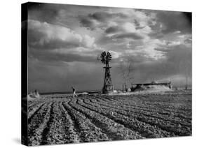 Picture from the Dust Bowl,With Deep Furrows Made by Farmers to Counteract Wind-Margaret Bourke-White-Stretched Canvas