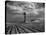 Picture from the Dust Bowl,With Deep Furrows Made by Farmers to Counteract Wind-Margaret Bourke-White-Stretched Canvas