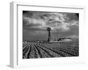 Picture from the Dust Bowl,With Deep Furrows Made by Farmers to Counteract Wind-Margaret Bourke-White-Framed Photographic Print