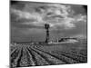 Picture from the Dust Bowl,With Deep Furrows Made by Farmers to Counteract Wind-Margaret Bourke-White-Mounted Photographic Print
