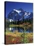 Picture Lake and Mount Shuksan at Heather Meadows, Washington, USA-Jamie & Judy Wild-Stretched Canvas