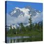 Picture Lake and Mt Shuksan, North Cascades NP, Washington, USA-Charles Gurche-Stretched Canvas