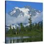 Picture Lake and Mt Shuksan, North Cascades NP, Washington, USA-Charles Gurche-Stretched Canvas