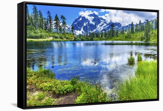 Picture Lake Evergreens Mount Shuksan Mount Baker Highway Snow Mountain Trees Washington Pacific No-William Perry-Framed Stretched Canvas