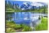 Picture Lake Evergreens Mount Shuksan Mount Baker Highway Snow Mountain Trees Washington Pacific No-William Perry-Stretched Canvas