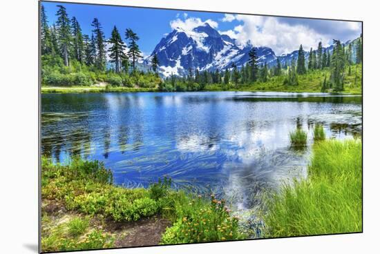 Picture Lake Evergreens Mount Shuksan Mount Baker Highway Snow Mountain Trees Washington Pacific No-William Perry-Mounted Photographic Print